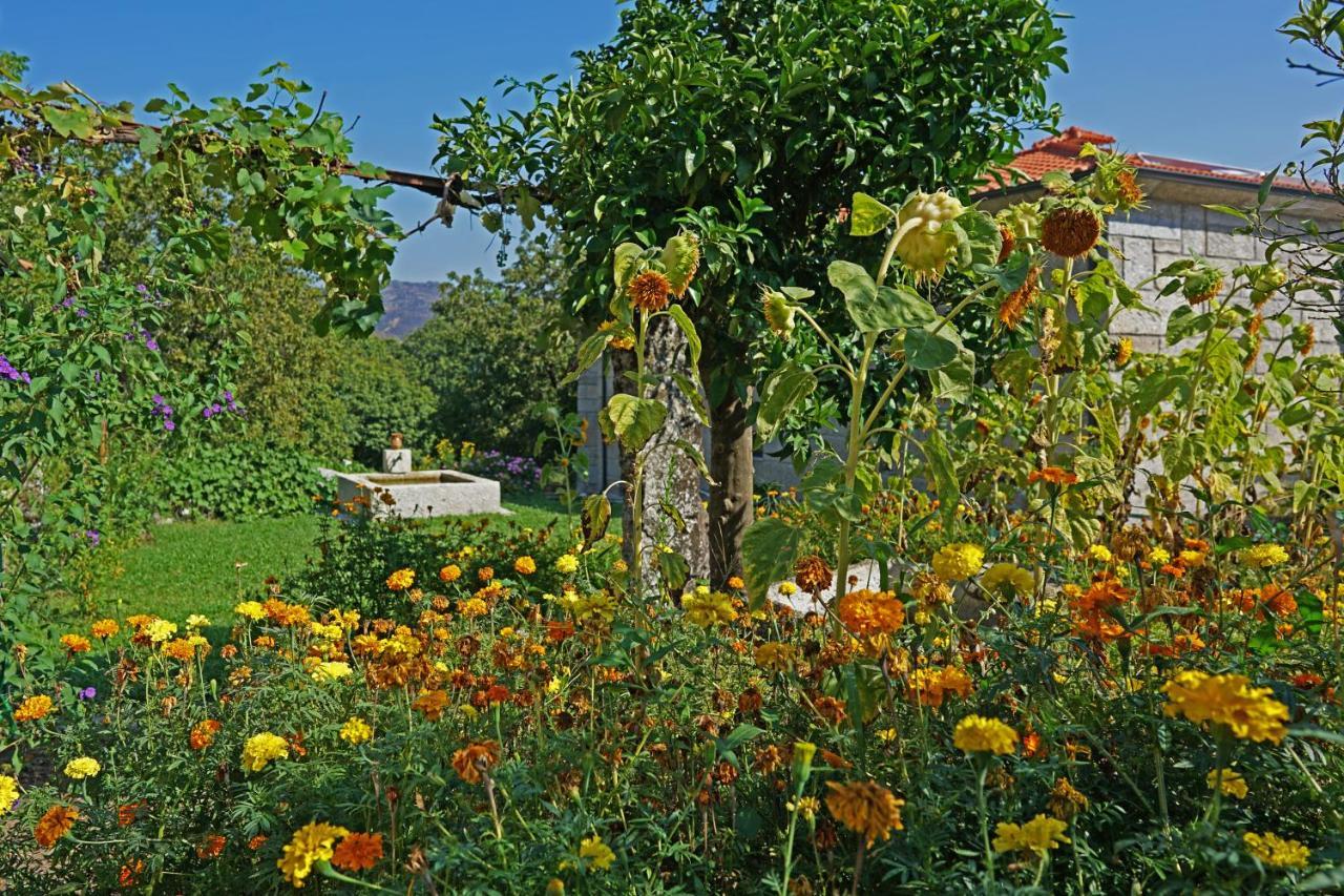 Casa Do Vale Konuk evi Fafe Dış mekan fotoğraf