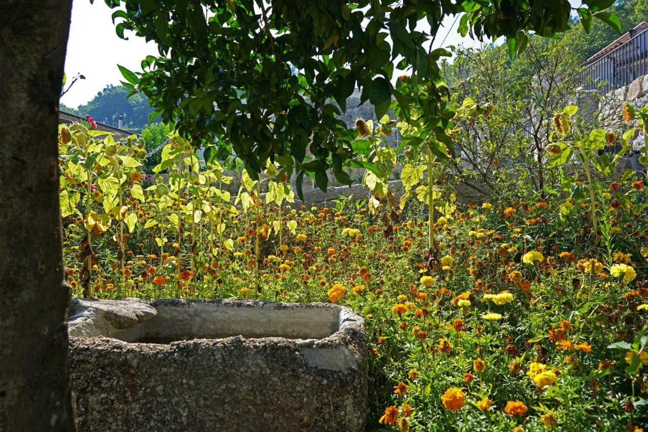 Casa Do Vale Konuk evi Fafe Dış mekan fotoğraf